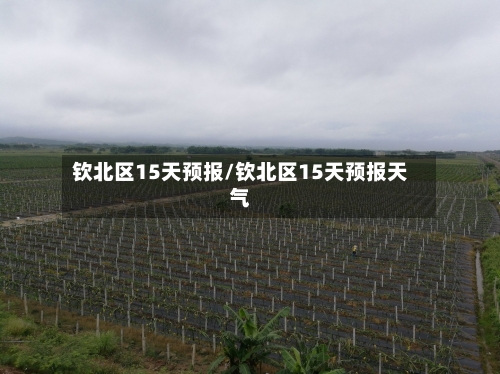钦北区15天预报/钦北区15天预报天气