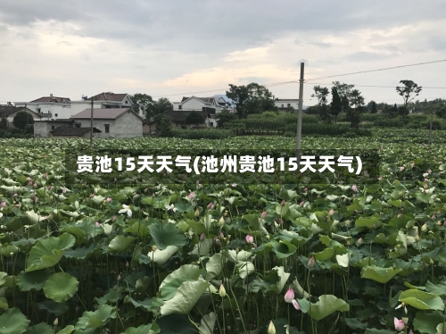 贵池15天天气(池州贵池15天天气)