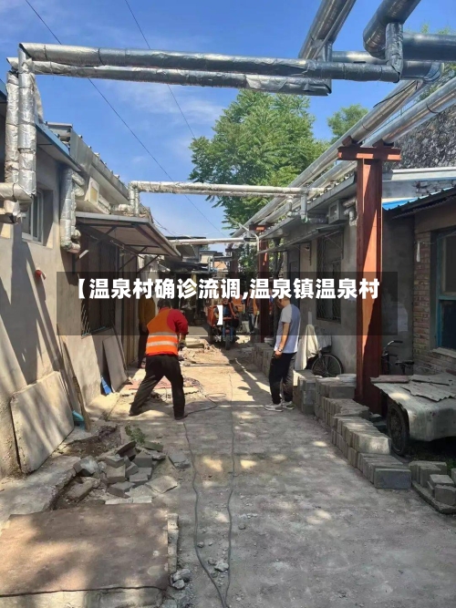 【温泉村确诊流调,温泉镇温泉村】