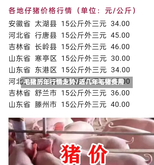 毛猪历年行情走势/近几年毛猪费用