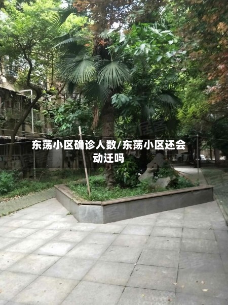 东荡小区确诊人数/东荡小区还会动迁吗