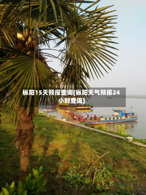 枞阳15天预报查询(枞阳天气预报24小时查询)