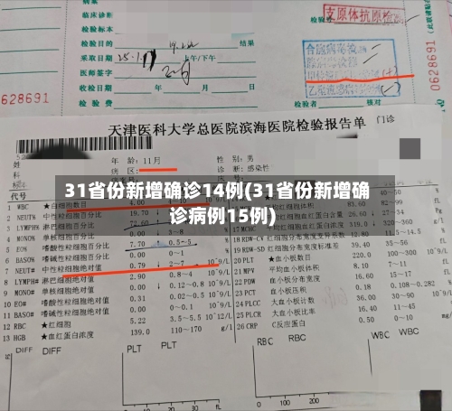 31省份新增确诊14例(31省份新增确诊病例15例)