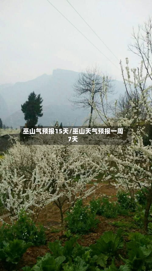 巫山气预报15天/巫山天气预报一周7天