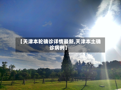 【天津本轮确诊详情最新,天津本土确诊病例】