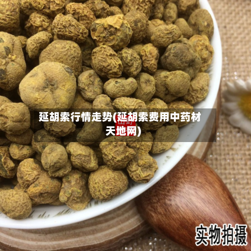 延胡索行情走势(延胡索费用中药材天地网)