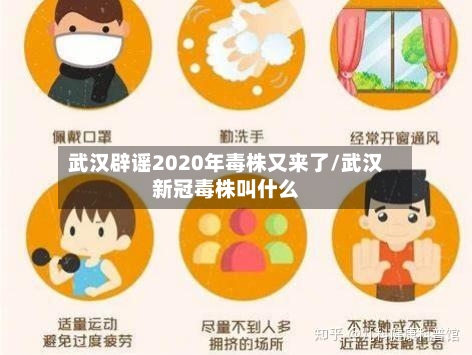 武汉辟谣2020年毒株又来了/武汉新冠毒株叫什么