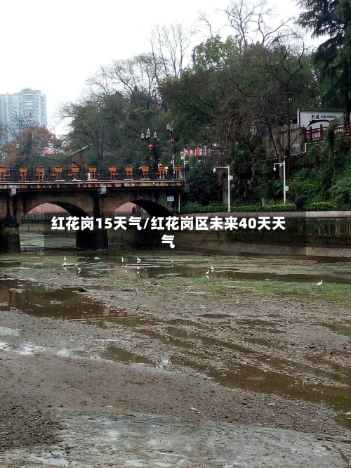 红花岗15天气/红花岗区未来40天天气