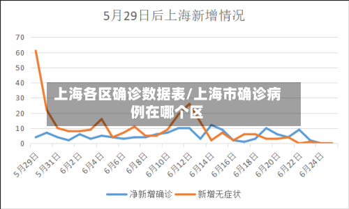 上海各区确诊数据表/上海市确诊病例在哪个区