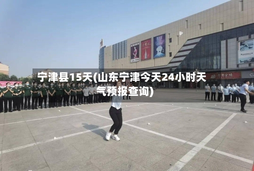 宁津县15天(山东宁津今天24小时天气预报查询)