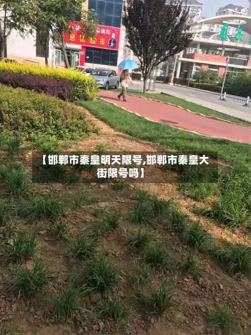 【邯郸市秦皇明天限号,邯郸市秦皇大街限号吗】