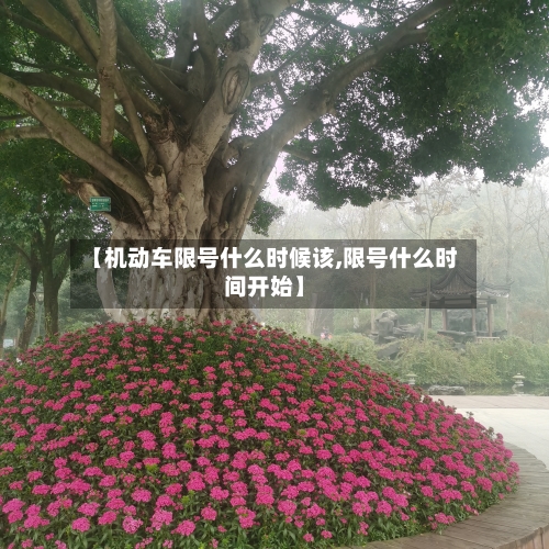【机动车限号什么时候该,限号什么时间开始】