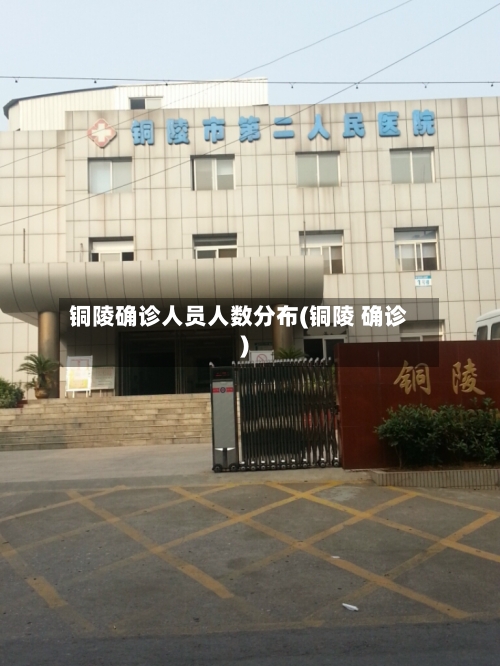 铜陵确诊人员人数分布(铜陵 确诊)