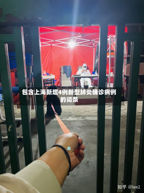 包含上海新增4例新型肺炎确诊病例的词条
