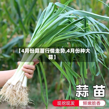 【4月份蒜苗行情走势,4月份种大蒜】