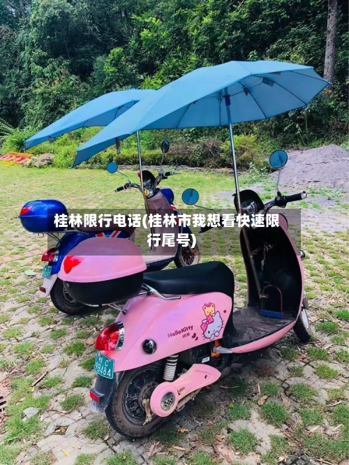 桂林限行电话(桂林市我想看快速限行尾号)