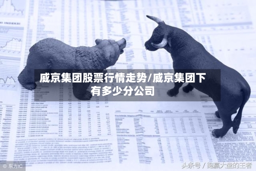 威京集团股票行情走势/威京集团下有多少分公司