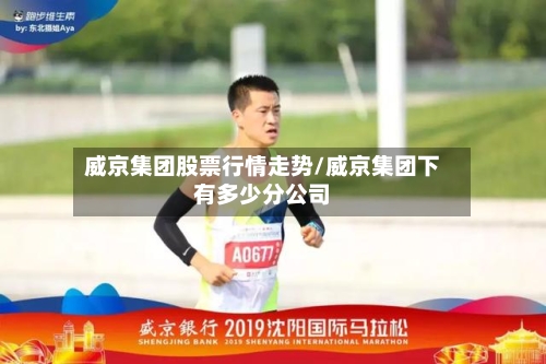 威京集团股票行情走势/威京集团下有多少分公司
