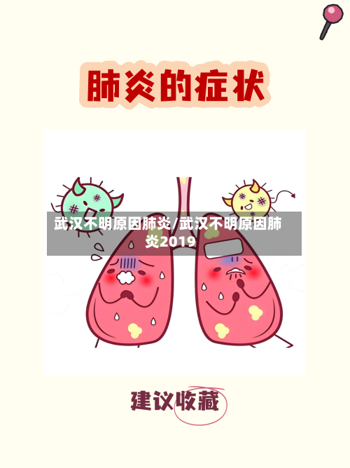 武汉不明原因肺炎/武汉不明原因肺炎2019