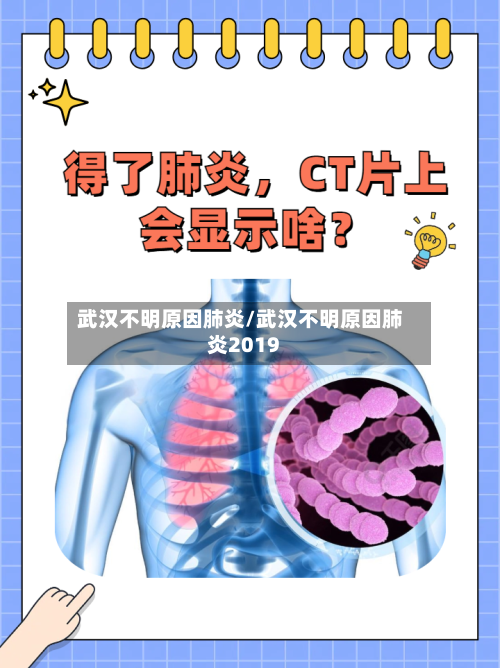 武汉不明原因肺炎/武汉不明原因肺炎2019