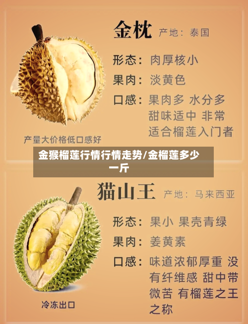 金猴榴莲行情行情走势/金榴莲多少一斤