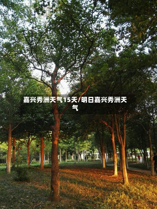 嘉兴秀洲天气15天/明日嘉兴秀洲天气