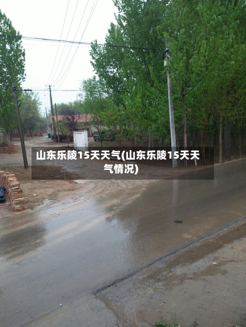 山东乐陵15天天气(山东乐陵15天天气情况)
