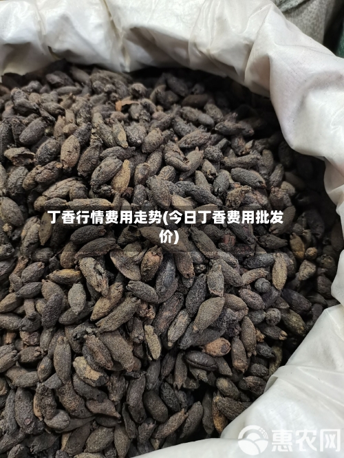 丁香行情费用走势(今日丁香费用批发价)