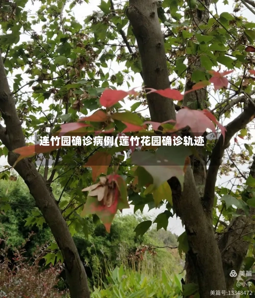 连竹园确诊病例(莲竹花园确诊轨迹)