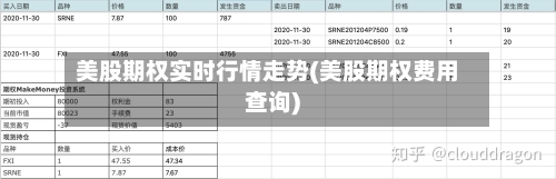 美股期权实时行情走势(美股期权费用查询)