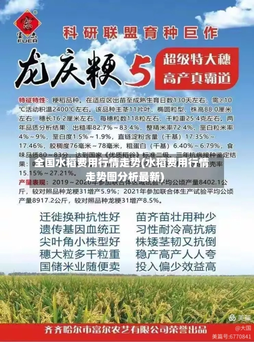 全国水稻费用行情走势(水稻费用行情走势图分析最新)