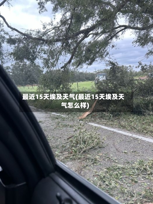 最近15天埃及天气(最近15天埃及天气怎么样)