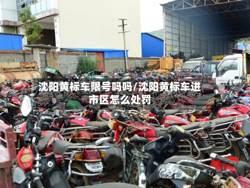 沈阳黄标车限号吗吗/沈阳黄标车进市区怎么处罚