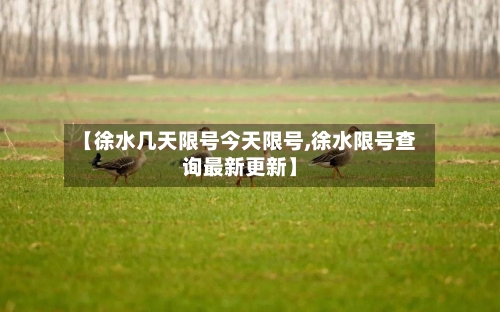 【徐水几天限号今天限号,徐水限号查询最新更新】