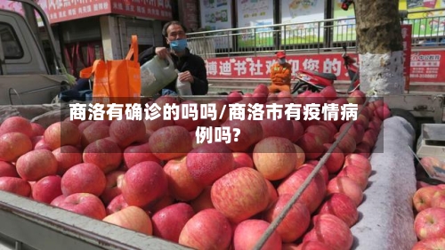 商洛有确诊的吗吗/商洛市有疫情病例吗?