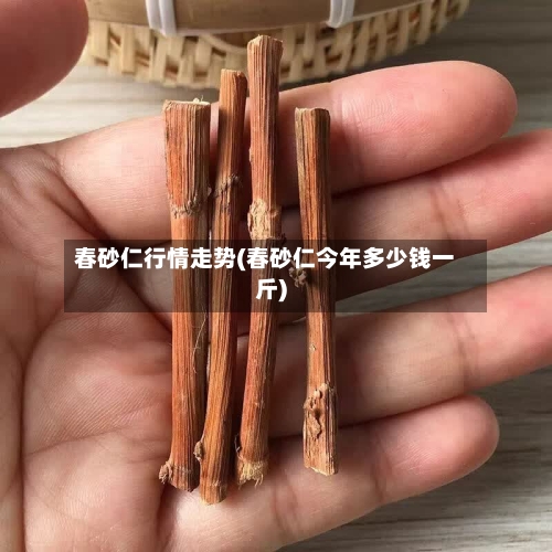 春砂仁行情走势(春砂仁今年多少钱一斤)