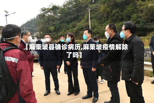 【麻栗坡县确诊病历,麻栗坡疫情解除了吗】