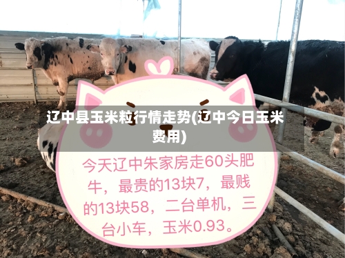 辽中县玉米粒行情走势(辽中今日玉米费用)