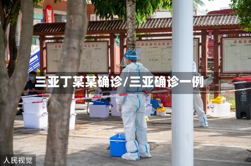 三亚丁某某确诊/三亚确诊一例