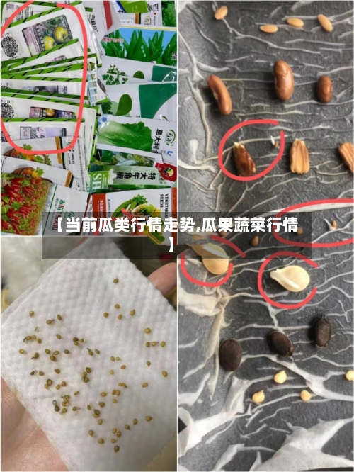 【当前瓜类行情走势,瓜果蔬菜行情】