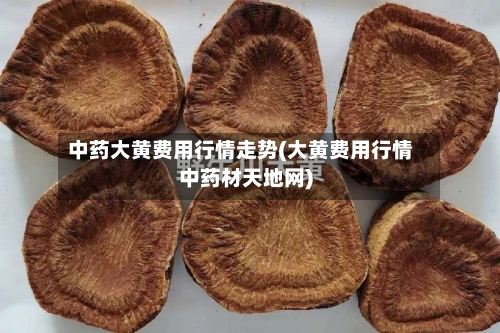 中药大黄费用行情走势(大黄费用行情中药材天地网)