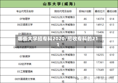哪些大学招专科2020/招收专科的211