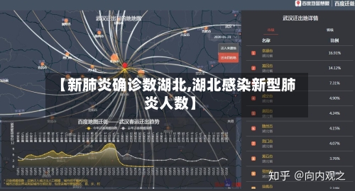 【新肺炎确诊数湖北,湖北感染新型肺炎人数】