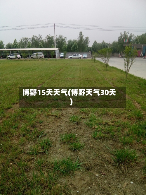 博野15天天气(博野天气30天)