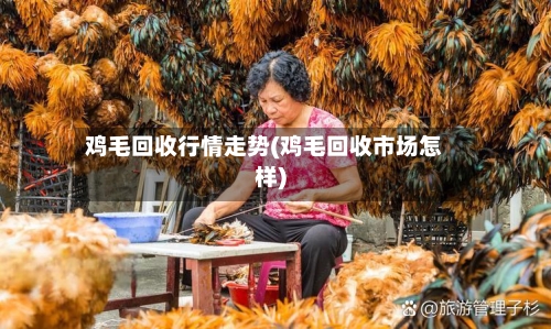 鸡毛回收行情走势(鸡毛回收市场怎样)