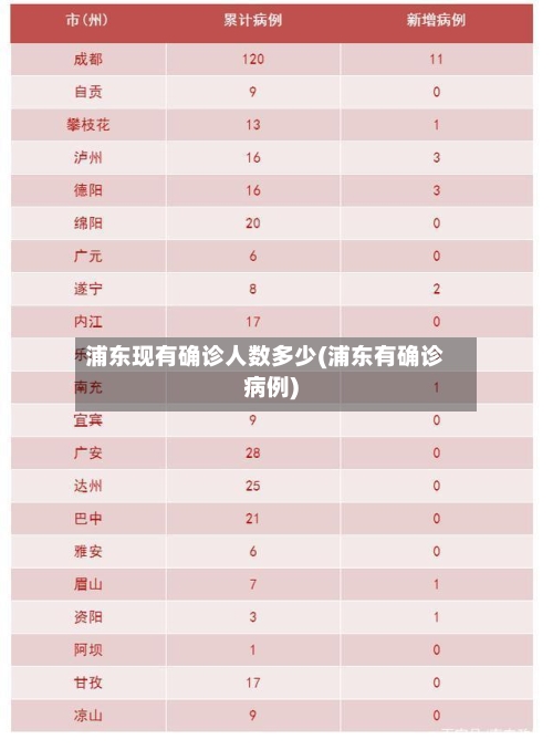 浦东现有确诊人数多少(浦东有确诊病例)