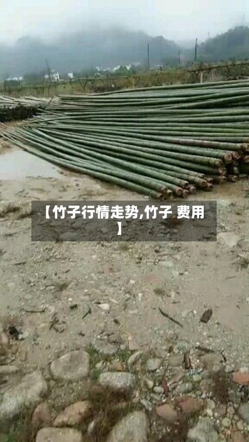 【竹子行情走势,竹子 费用】