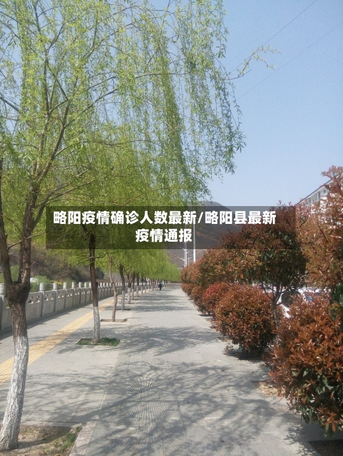 略阳疫情确诊人数最新/略阳县最新疫情通报