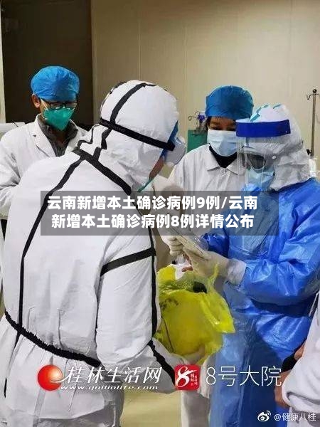 云南新增本土确诊病例9例/云南新增本土确诊病例8例详情公布