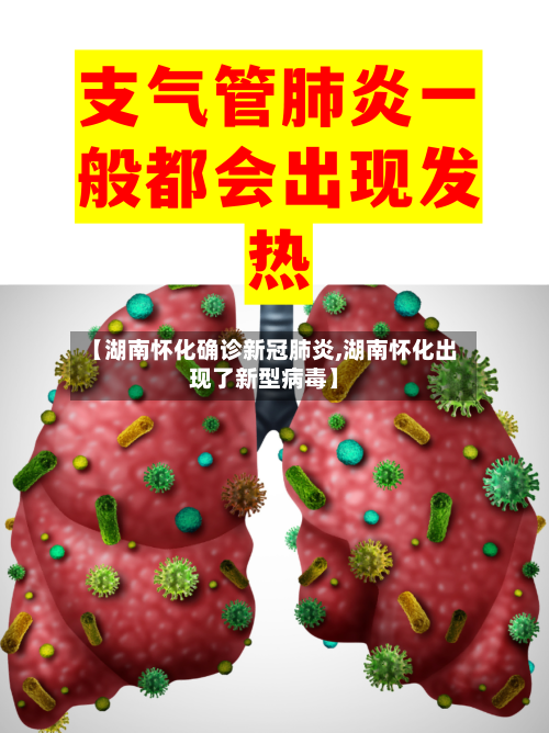 【湖南怀化确诊新冠肺炎,湖南怀化出现了新型病毒】